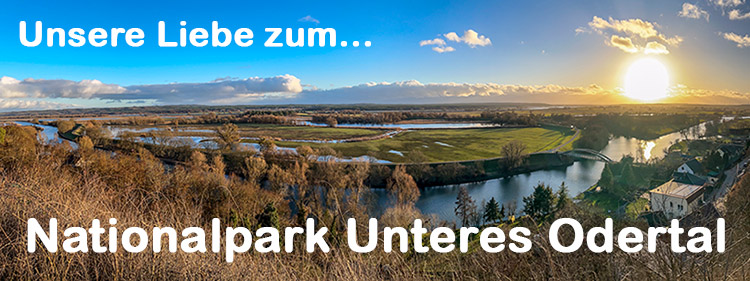 Unsere Liebe zum Nationalpark Unteres Odertal